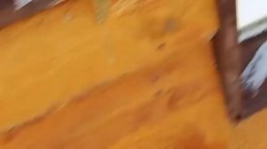 090226гСходил к смотровому окну где Киара замёрз и в будку пошёл греть лапки