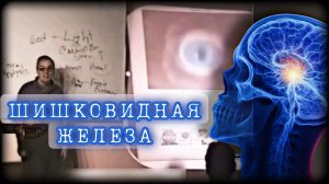Древние Секреты Шишковидной Железы | Как открыть третий глаз | Уильям Донахью на Русском