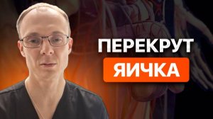 Перекрут яичка. Врач уролог-андролог. Москва.
