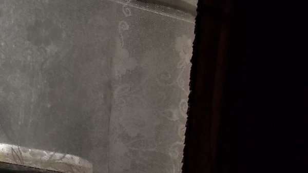 Выглядит нелепо, путассу со старухами уже не помогут я брежу