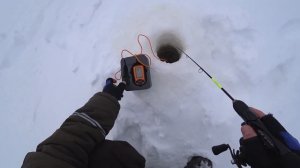 Как не распугать рыбу_ Ловля судака зимой. Проводки и приманки