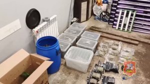 Полицейские в Домодедове задержали подозреваемого в сбыте наркотиков и незаконном хранении оружия