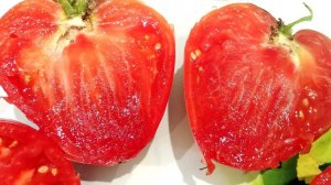 Этот томат,как спелая, сладкая клубничка, оказался вкуснее, чем томат Батяня.