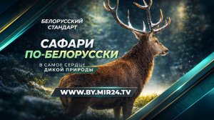 Там, где гуляет зверь: наше путешествие в заповедные края на север Беларуси