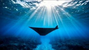 Глубоководное царство: симбионты, водоросли и песни русалок. #подводныймир  #русалки