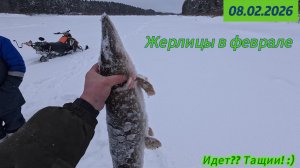 Рыбалка на жерлицы.08.02.2026