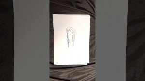 10-02-2026 учу анатомию говорит Бромедик