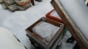 идет потепление что надо сделать пчеловоду.