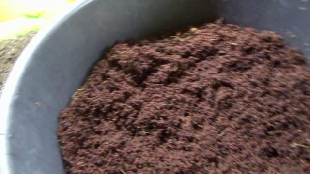 Сравниваю кокосовый субстрат купленный на ОЗОНЕ и в магазине. смотреть онлайн