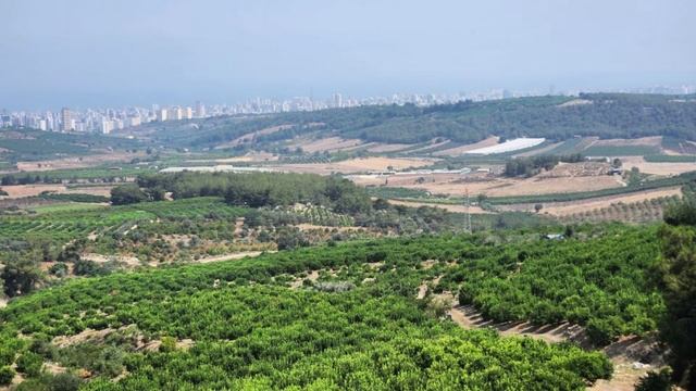 Турция: Вид на Мерсин с предгорья Fındıkpınarı смотреть онлайн
