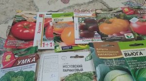 Обзор семян томатов и капусты .