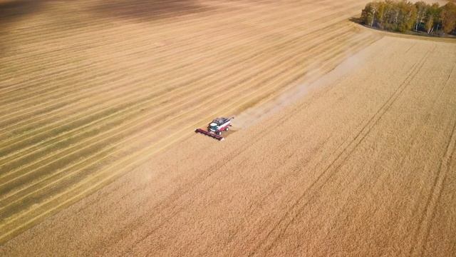 ACROS 595 Plus — комбайн, способный на большее