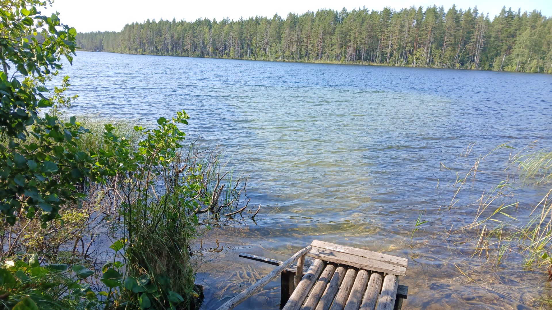 Карелия,подводная охота на озере 18.08.2025