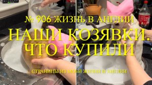 Наши КОЗЯВКИ - чихуахуа. Что купили. № 906 Жизнь в Англии