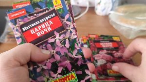 как растут растюшки, опять семена цветов, (10.02.26)