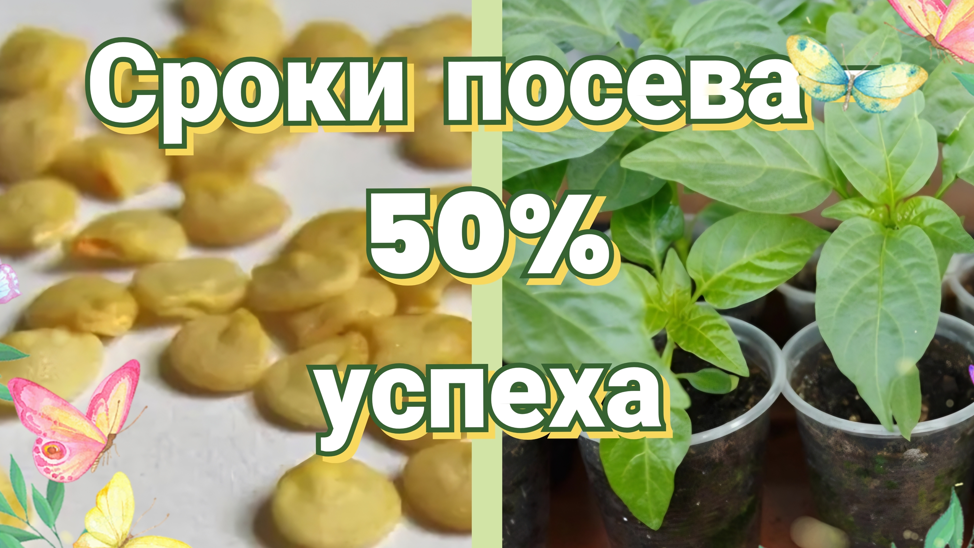 Когда сеять перец на рассаду смотреть онлайн