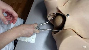 Выходные Акушерские щипцы