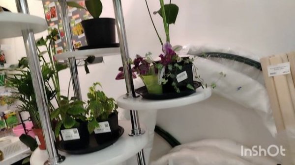 141).10.02.26.г.Моя городская жизнь 👩🏢❄️❄️❄️