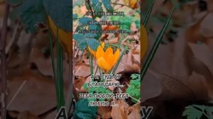 XakeR - Тебя люблю .