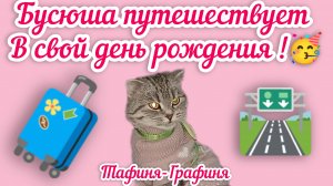 😻Бусюше подарила путевку, в другой город...🚗/ Бусюша путешествует 🛣️🧳