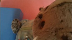 Кагда  я прешла са школы