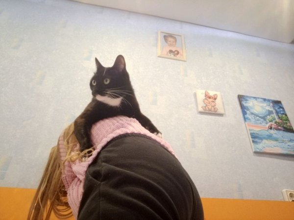 жду всех своих подписчиков