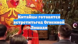 Китайцы готовятся встретитьгод Огненной Лошади