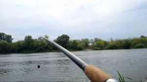 рыбалка на Дону