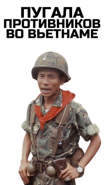 ГИГАНТСКИЕ БОЕПРИПАСЫ, КОТОРЫЕ УЧАСТВОВАЛИ В ВОЙНАХ! #shorts #охота смотреть онлайн