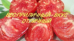 Крупноплодный томат Спецназ. Вес приличный, вкус отличный. Сибирский сад.