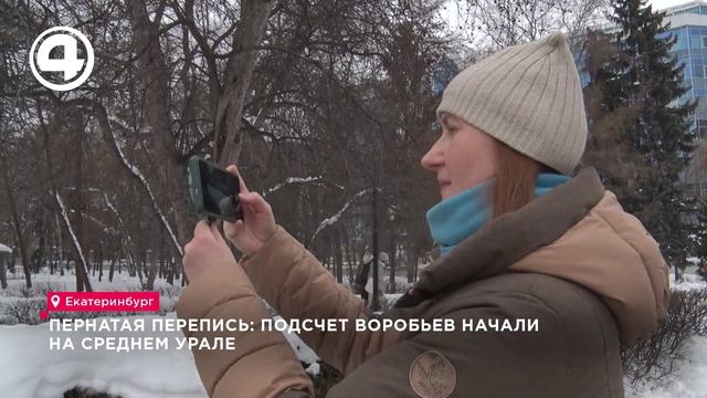 В Екатеринбурге началась зимняя перепись воробьёв смотреть онлайн
