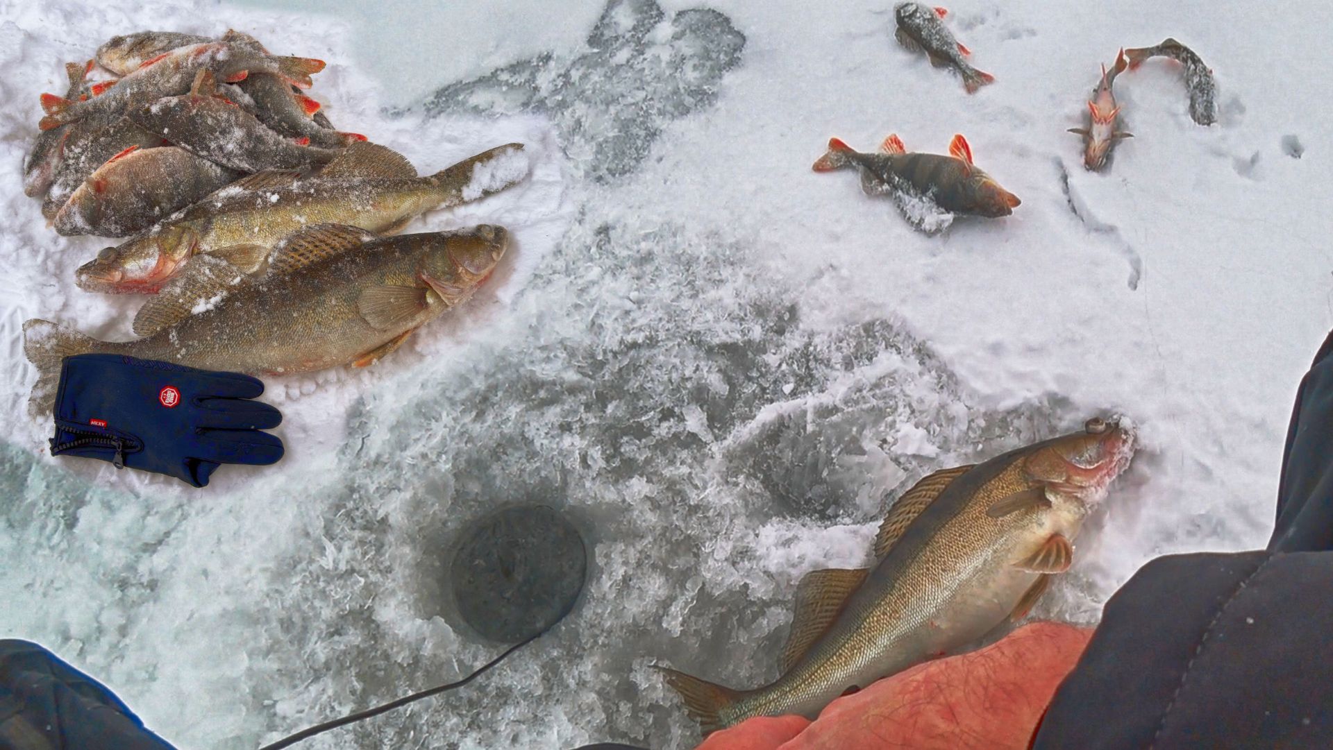 СУДАКИ АТАКУЮТ БАЛАНСИР ВМЕСТО ОКУНЯ! ГЛАВНОЕ НЕ ПАЛИТЬ КОНТОРУ! Зимняя рыбалка на судака на Волге. смотреть онлайн