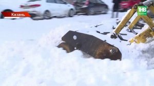 Город в сугробах: казанцы требуют ввести план «Буран» после снежных выходных