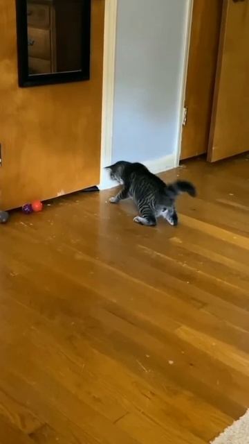 Когда создаешь сам себе проблемы смотреть онлайн