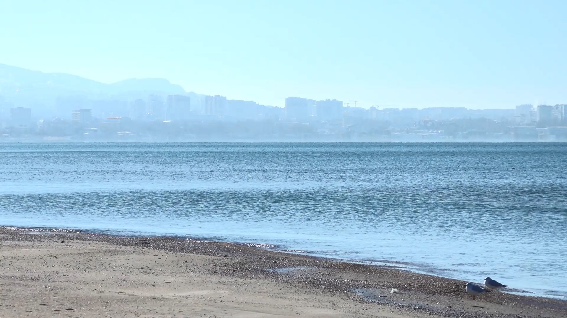 На пляжах Анапы новых выбросов нефтепродуктов не зафиксировано смотреть онлайн