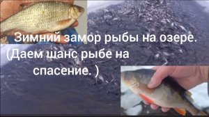Зимний замор рыбы ( даем  шанс рыбе на спасение)