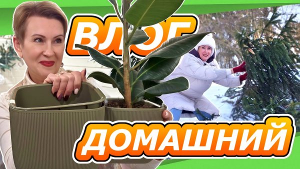 9 февраля ВЛОГ | СБЕЖАЛ ЗА ЮЛЬКОЙ | сею и сажаю | прогулка по зимнему лесу