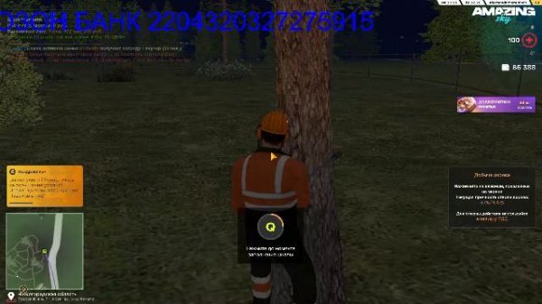 🔴СТРИМ .ИГРАЮ В Amazing Online SCY.