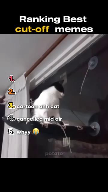 Ranking Best Cut-Off Memes Funny Ranking Top5