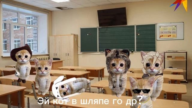Эль гато 2 серия 1 сезон