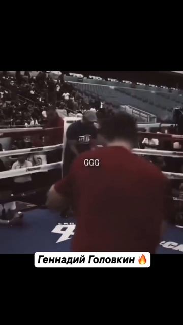 Прекрасный боксер смотреть онлайн