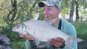 Тут ловится!  рыбалка с хорошим клёвом и уловом