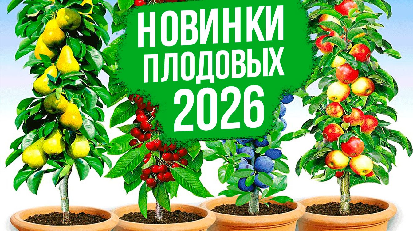 НОВИНКИ и ТОПЫ плодовых деревьев! смотреть онлайн