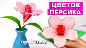 Оригами Цветок Персика из бумаги 🌸 Бумажные цветы своими руками