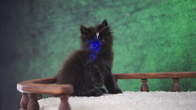 Guna 1,5 месяца смотреть онлайн