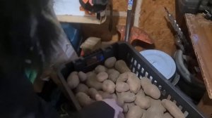 Подвал топит, посреди зимы. Первый опыт на русской земле, и до неё дошли руки