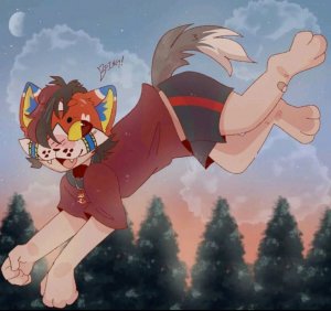 КВАДРО ДАША