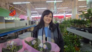 ОКЕАН КРАСОТЫ / ОБЗОР ГРИНВИЛЯ / ПЕЧЕМ ХЛЕБ