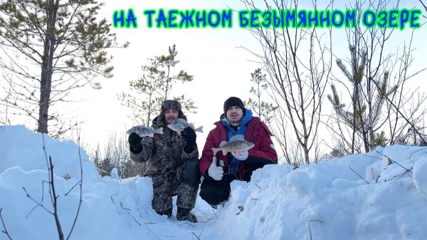 Рыбалка на таежном, безымянном озере #зимняярыбалка #рыбалка #окунь #сибирь #хмао