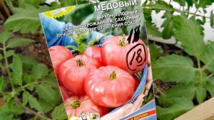 Прошу СОВЕТА о формировании томата сорта МЕДОВЫЙ.